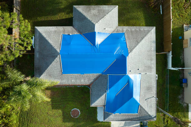 Best Steel Roofing  in Locust, NC